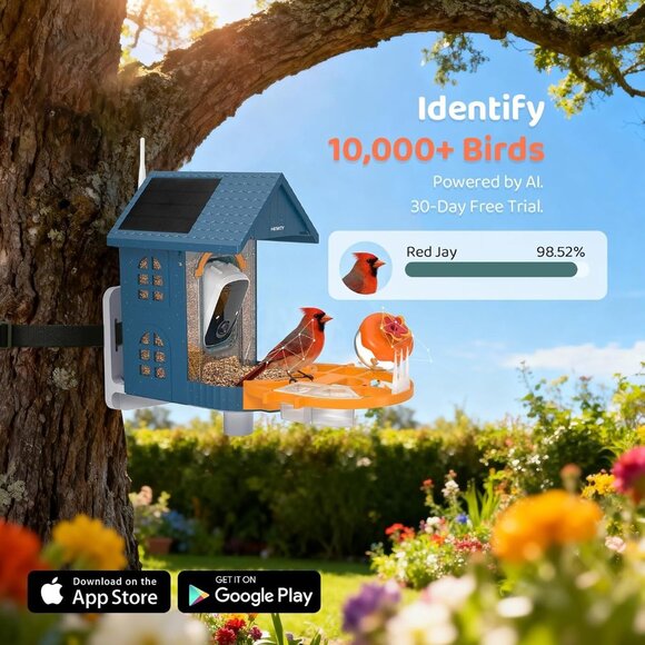 Smart Bird Feeder with Camera AI Birdhouse Identify 11000+ Species 2K HD Quality - Picture 5 of 8